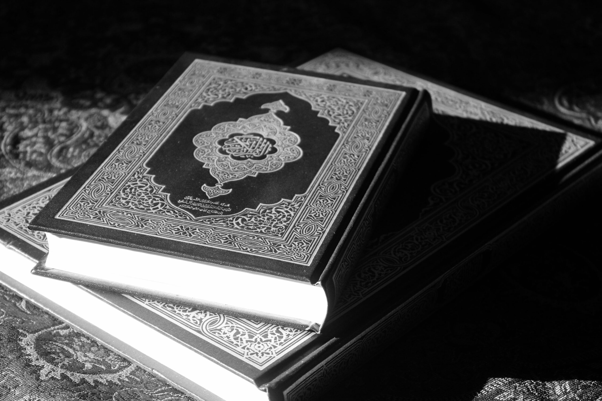 photo-1711986924308-f85d2cfbc913